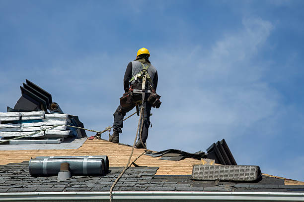 Professional Roof Replacement technician working in Trimble, MO